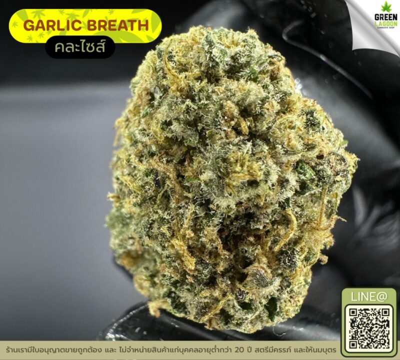 Garlic breath