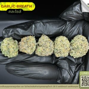 Garlic breath