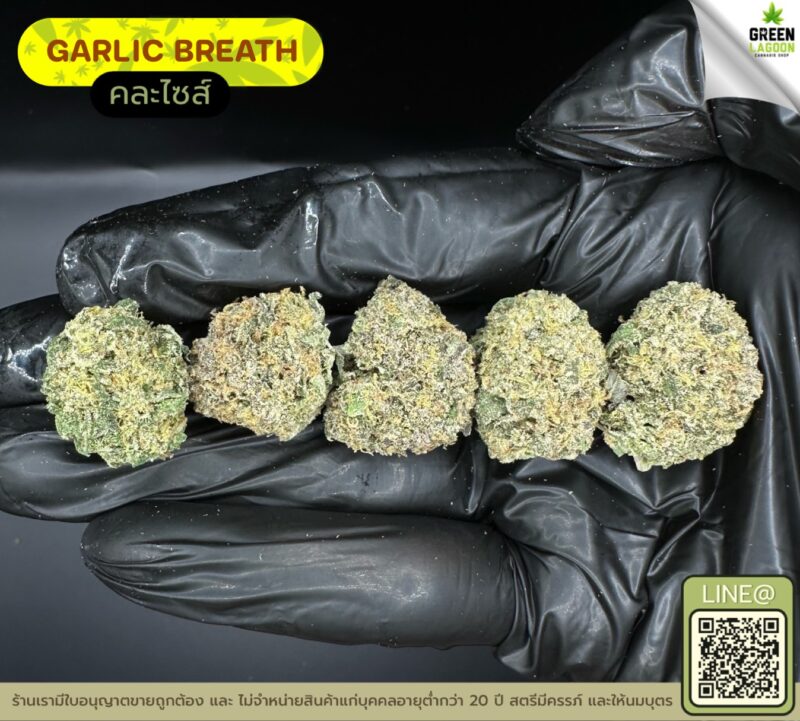 Garlic breath