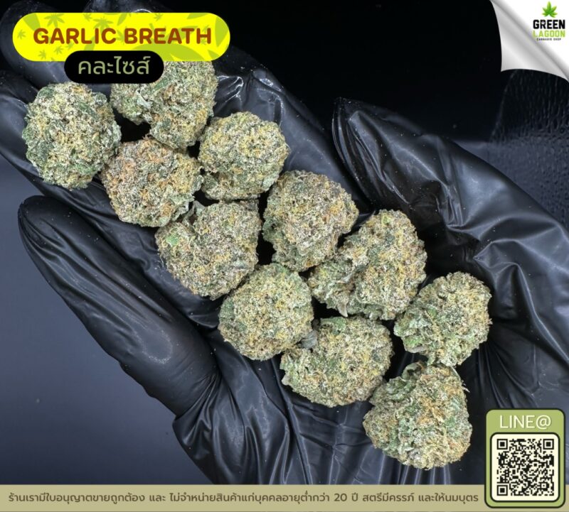 Garlic breath