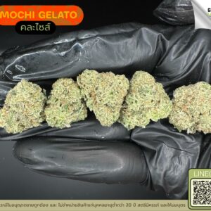 Mochi gelato