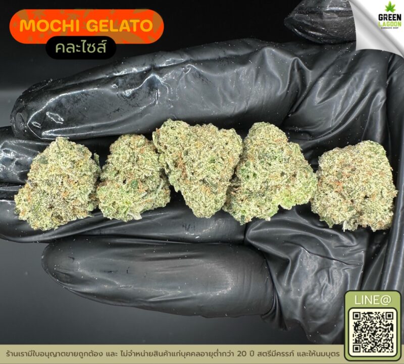 Mochi gelato