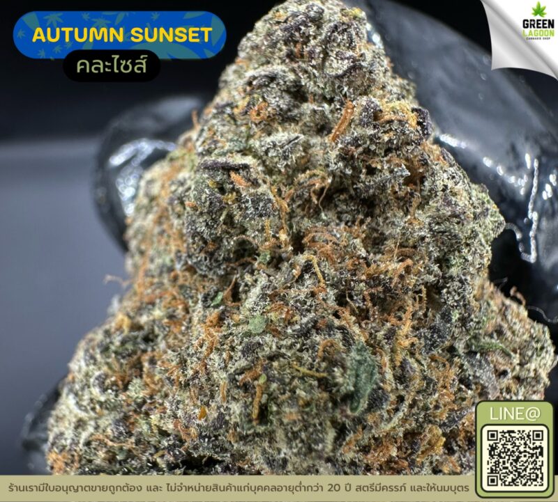 Autumn sunset