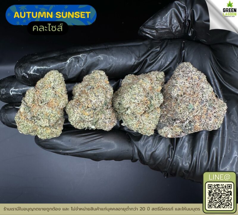 Autumn sunset