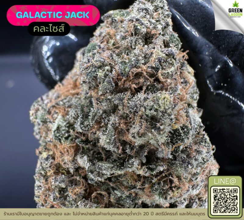 Galactic jack
