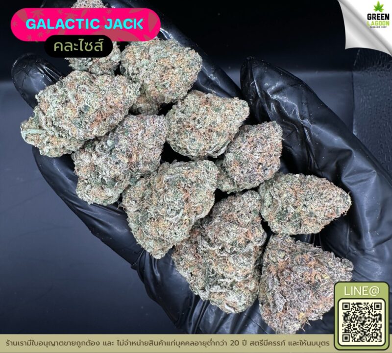 Galactic jack