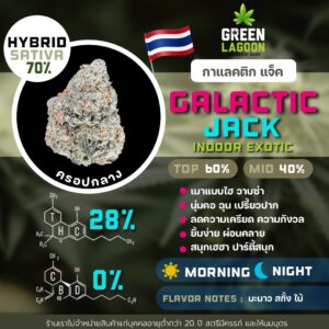 Galactic jack