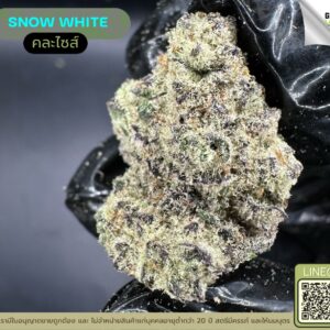 Snow white