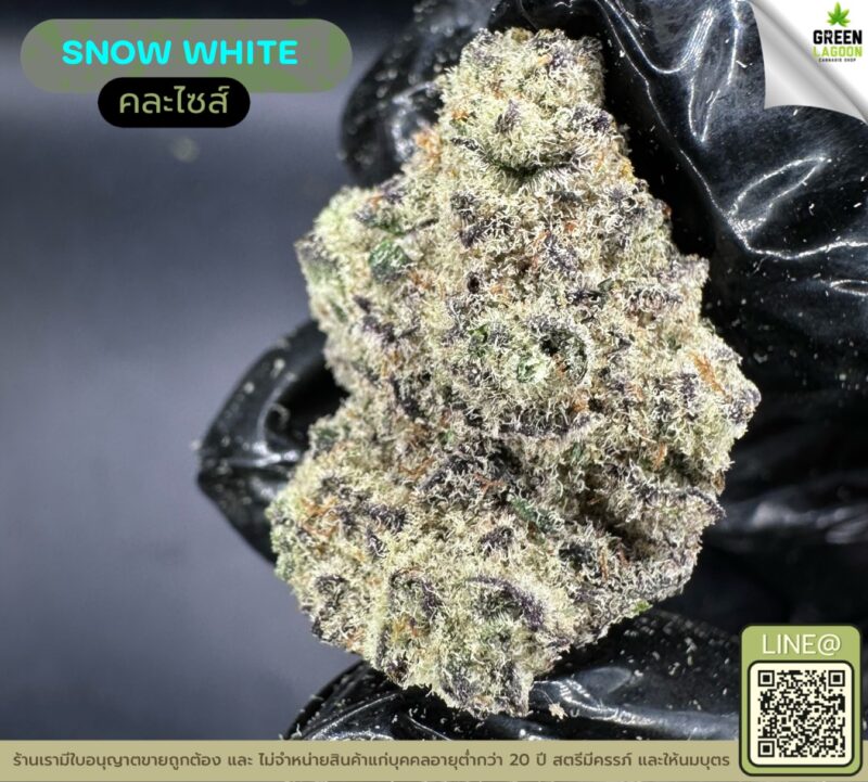 Snow white