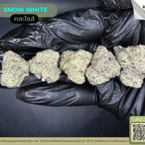 Snow white