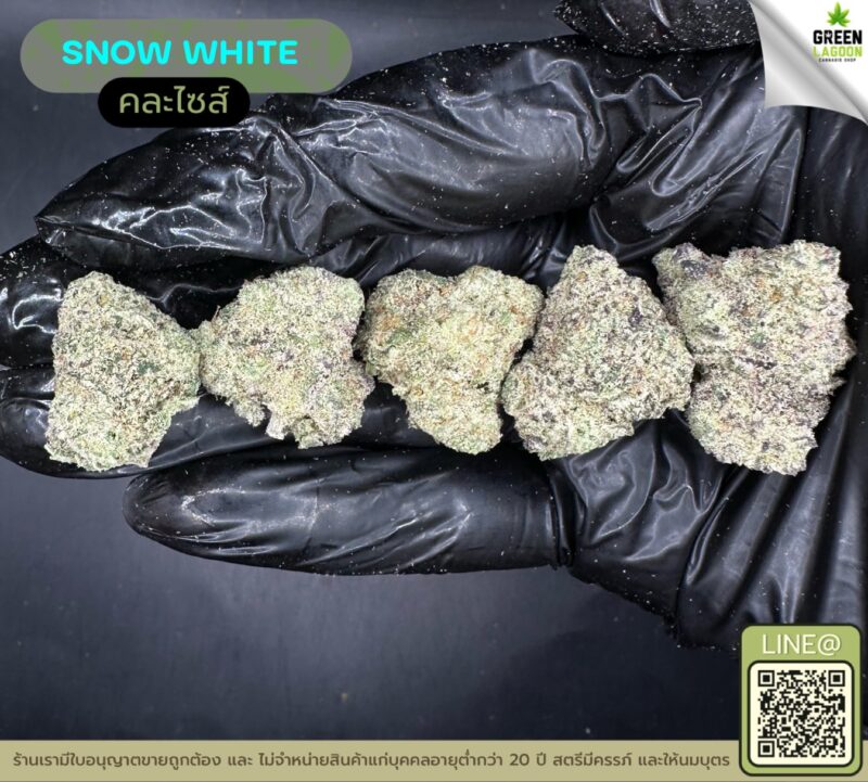Snow white