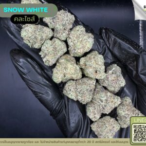 Snow white
