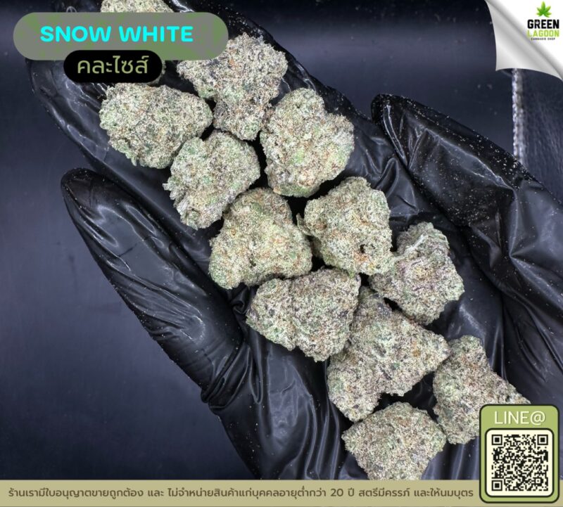 Snow white