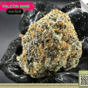 Falcon nine