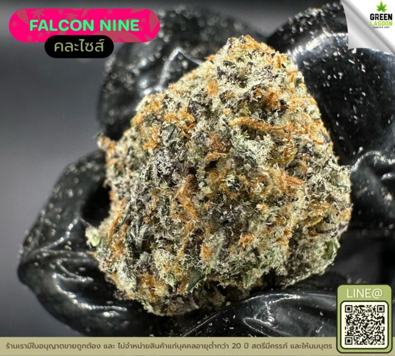 Falcon nine