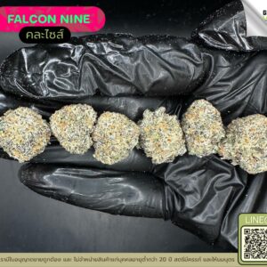 Falcon nine