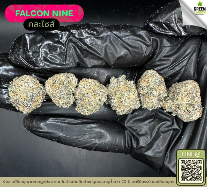 Falcon nine