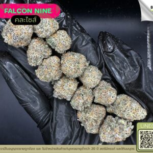 Falcon nine