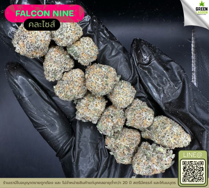 Falcon nine