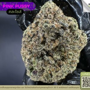 Pink pussy