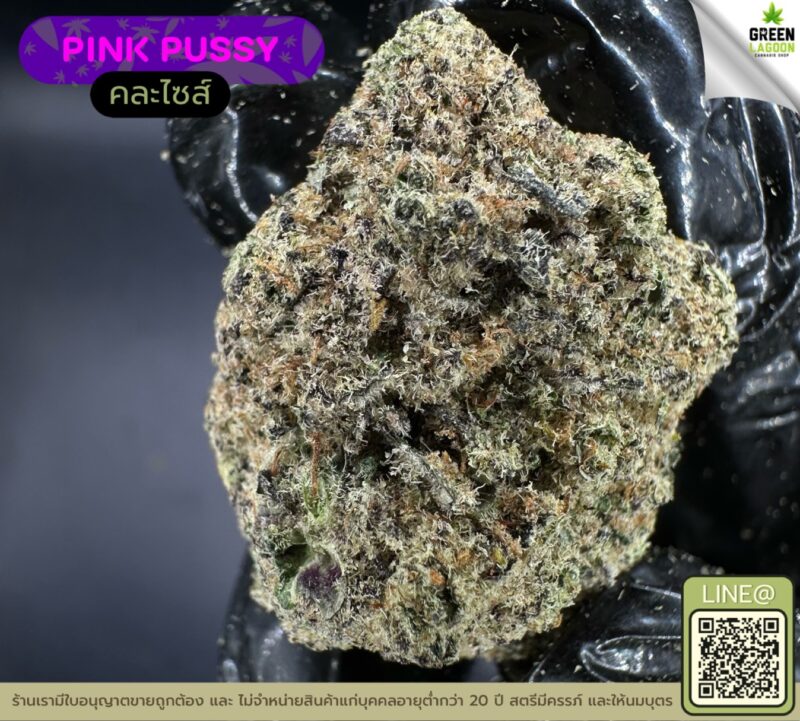Pink pussy