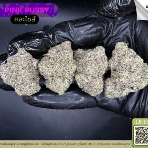 Pink pussy