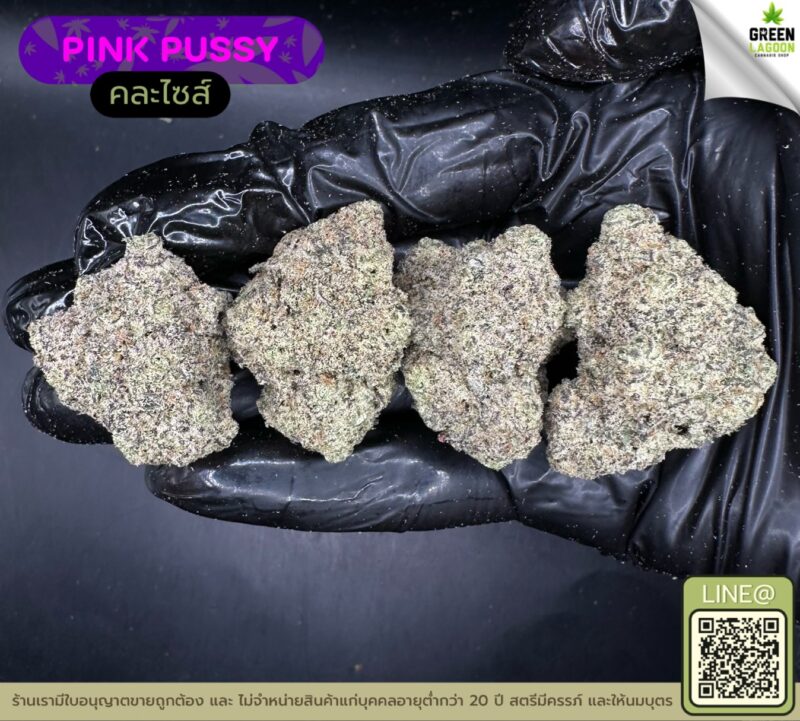 Pink pussy