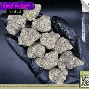 Pink pussy