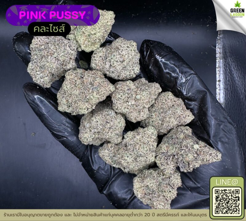 Pink pussy