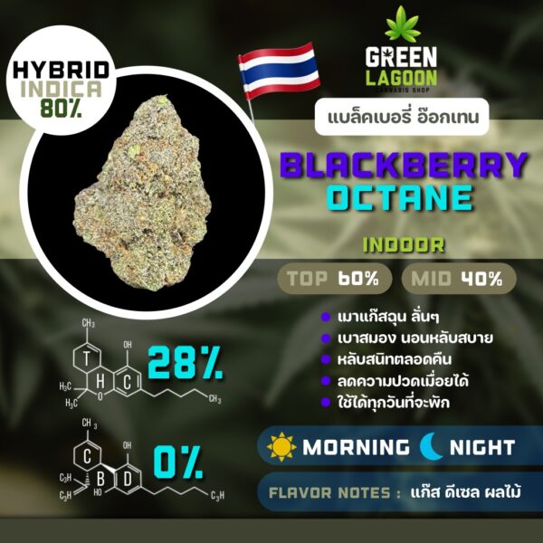 Blackberry octane