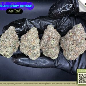 Blackberry octane