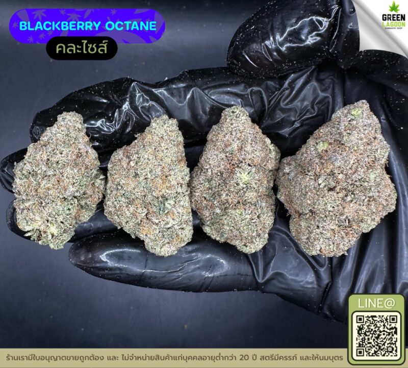 Blackberry octane