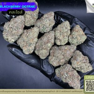 Blackberry octane