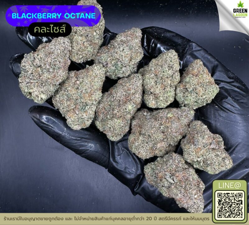 Blackberry octane