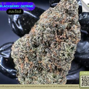 Blackberry octane