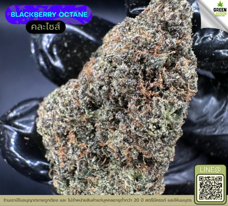 Blackberry octane