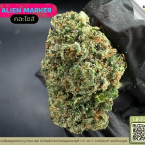 Alien marker