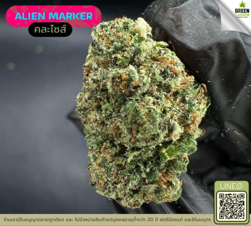 Alien marker