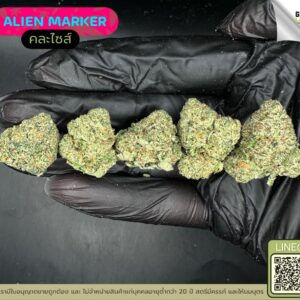 Alien marker