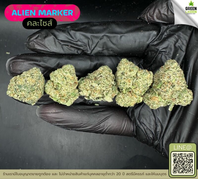 Alien marker