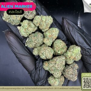 Alien marker