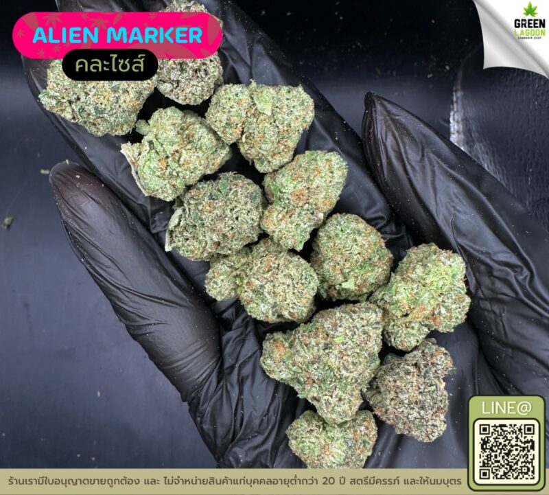 Alien marker