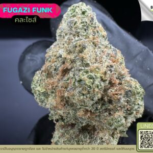 Fugazi funk