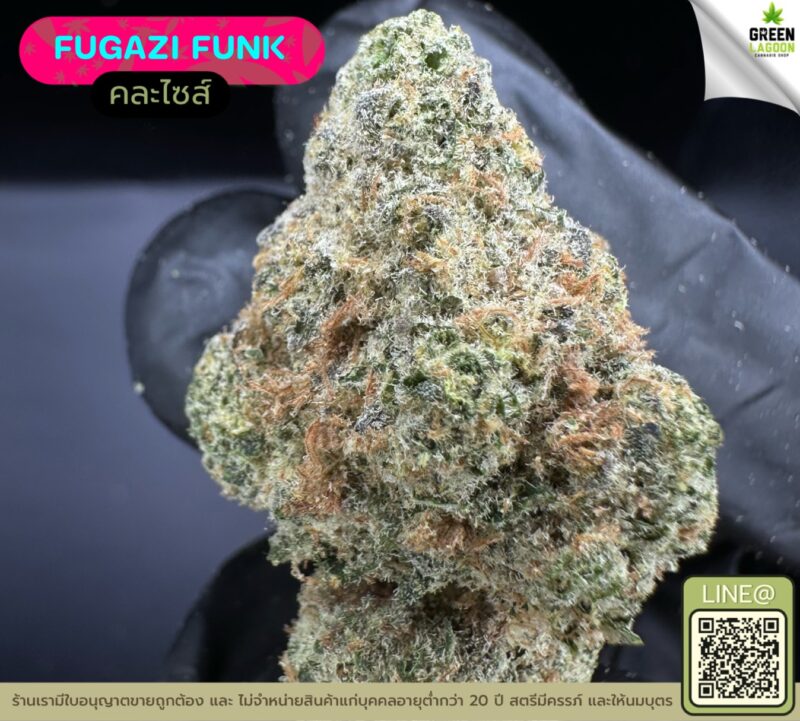 Fugazi funk