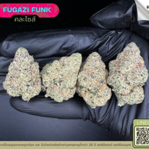 Fugazi funk