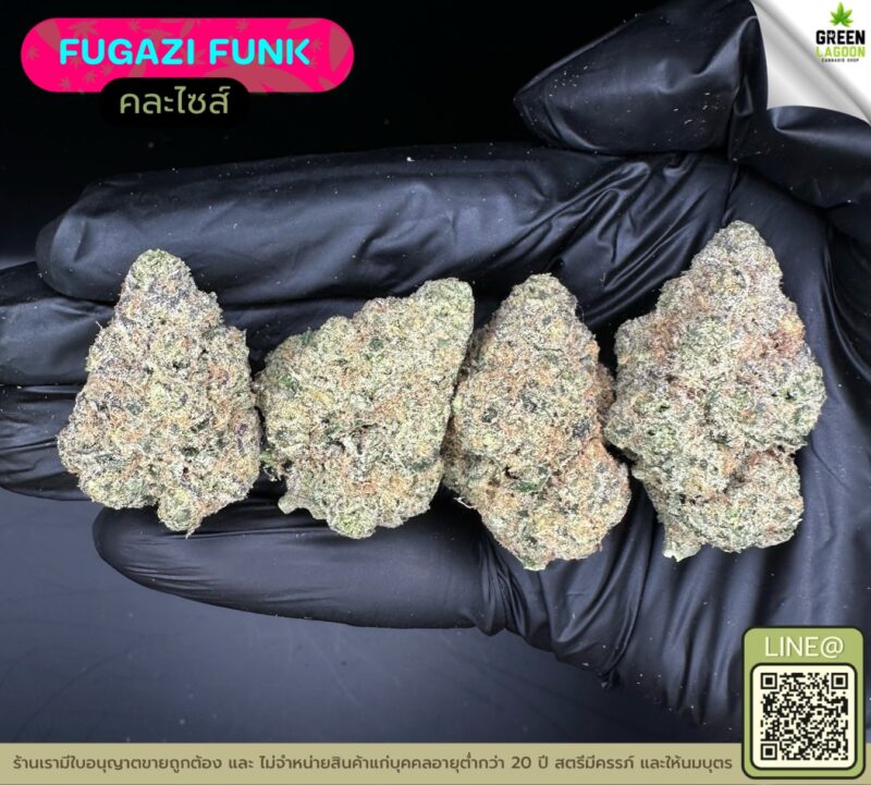 Fugazi funk