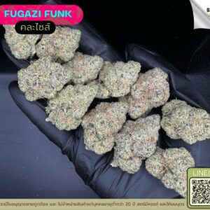 Fugazi funk