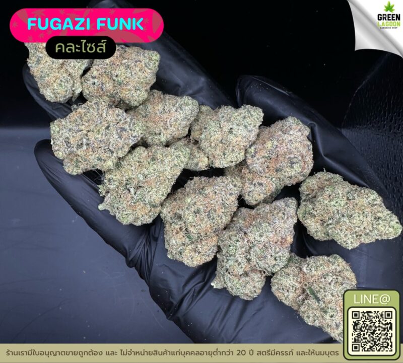Fugazi funk