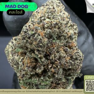 Mad dog