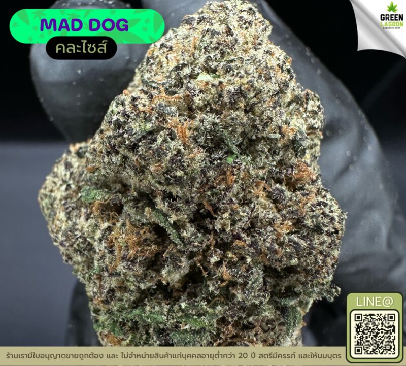 Mad dog